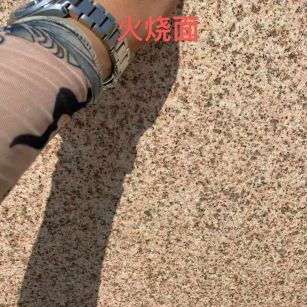 巴彦淖尔黄金麻火烧面